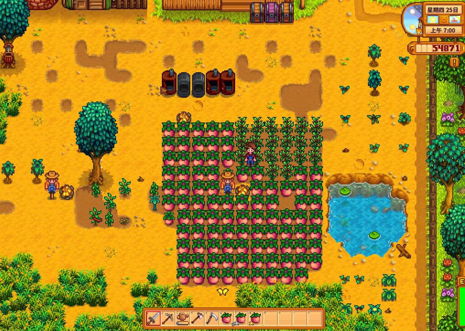 只狼：影逝二度 年度版 截图10